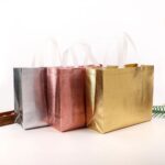 shine shine souvenir bag
